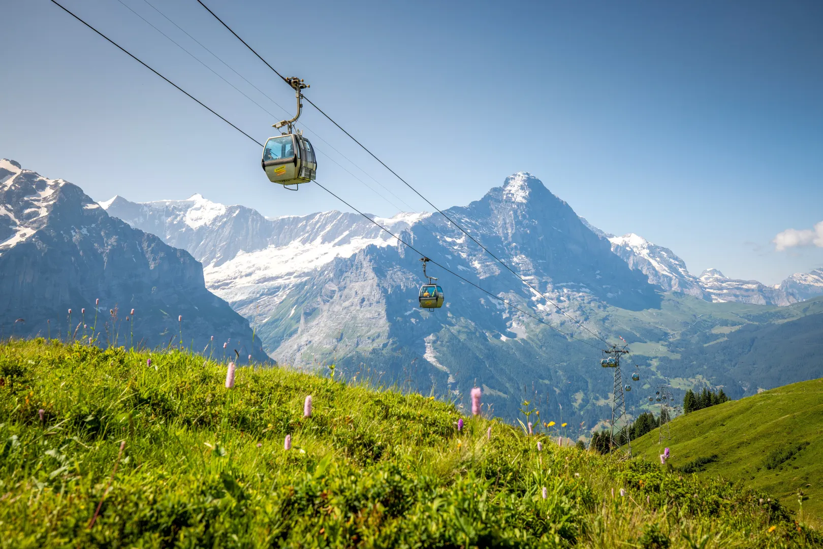 The Firstbahn gondolas glide over green alpine meadows under a clear sky, with views of the mountains in the Jungfrau region.