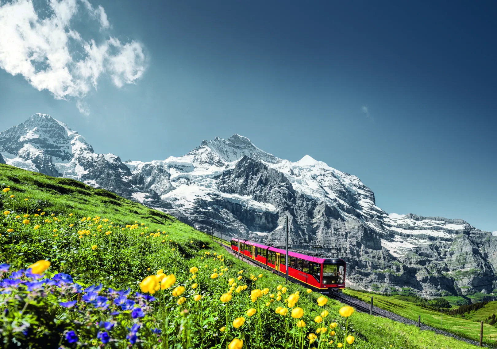 The Jungfrau Railways’ red cog railway winds its way through a colourful flower-filled meadow, with snow-capped mountains in the background.