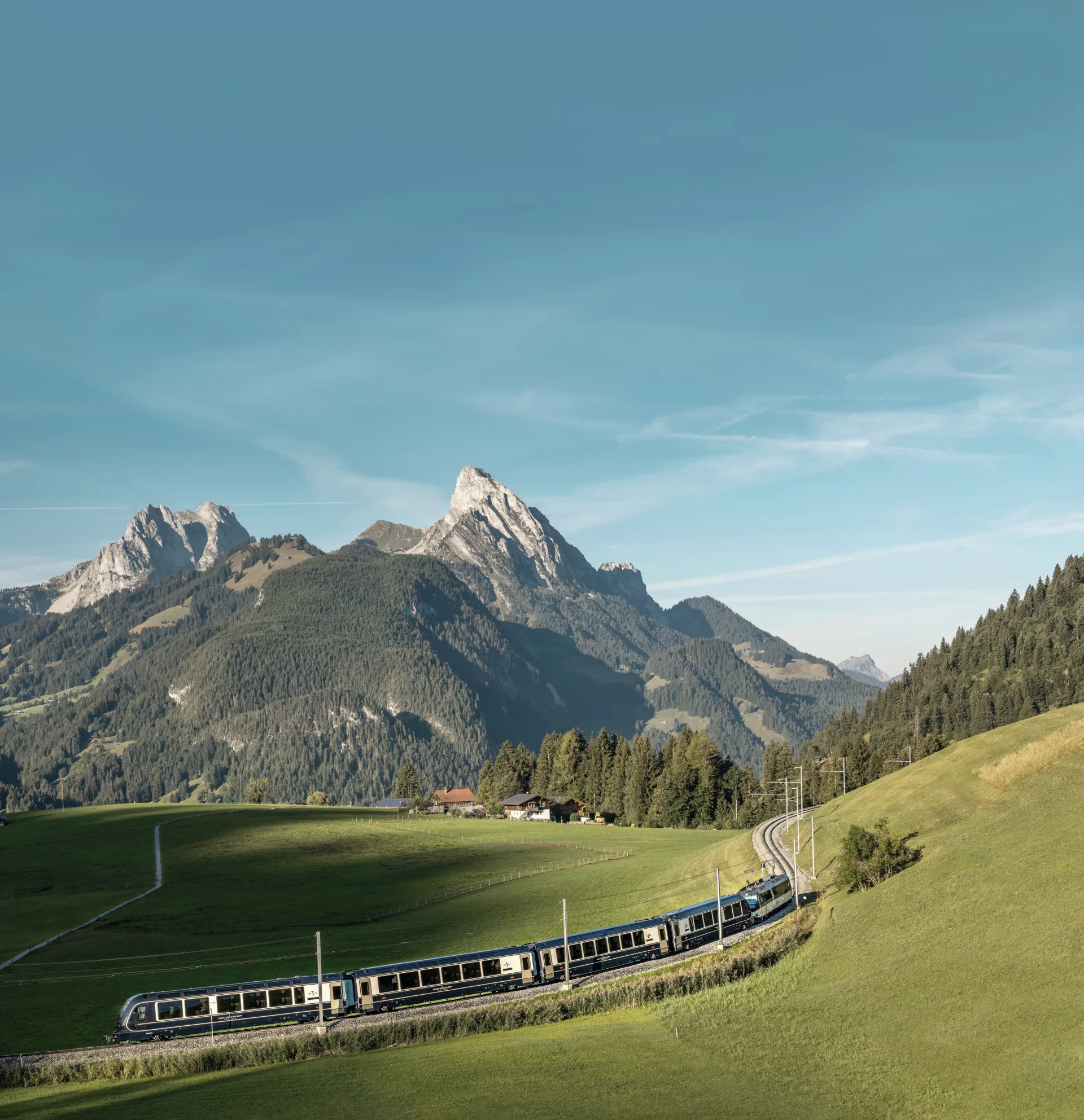 金色山口快車穿行於綠色的風景中，背景是群山和森林覆蓋的丘陵。